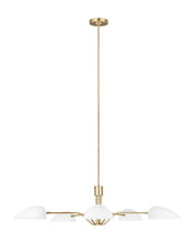 Load image into Gallery viewer, FALSE