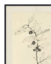 Load image into Gallery viewer, Floral Study 1