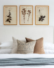 Load image into Gallery viewer, Maribel Pillow