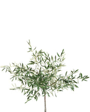 Load image into Gallery viewer, Faux Potted Olive Tree
