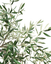 Load image into Gallery viewer, Faux Potted Olive Tree
