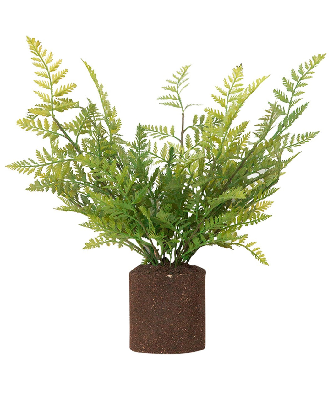 Faux Woodland Fern Drop-In