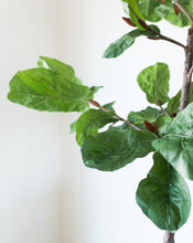Load image into Gallery viewer, Faux Potted Fiddle Leaf Tree
