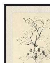 Load image into Gallery viewer, Floral Study 2
