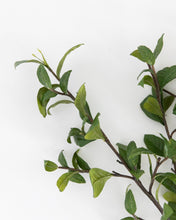 Load image into Gallery viewer, Gardenia Leaf Branch
