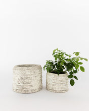 Load image into Gallery viewer, Grotto Planter
