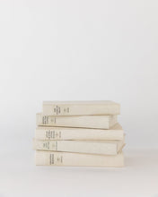 Load image into Gallery viewer, Parchment Books (Set of 5)
