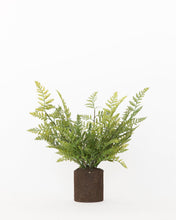 Load image into Gallery viewer, Faux Woodland Fern Drop-In
