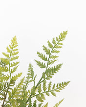 Load image into Gallery viewer, Faux Woodland Fern Drop-In
