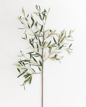 Load image into Gallery viewer, Faux Tuscan Olive Stem
