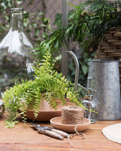 Load image into Gallery viewer, Low Terracotta Bowl
